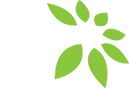 Company's logo Alliance IT